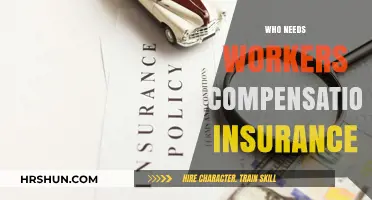 Protecting Your Team: The Importance of Workers' Compensation Insurance