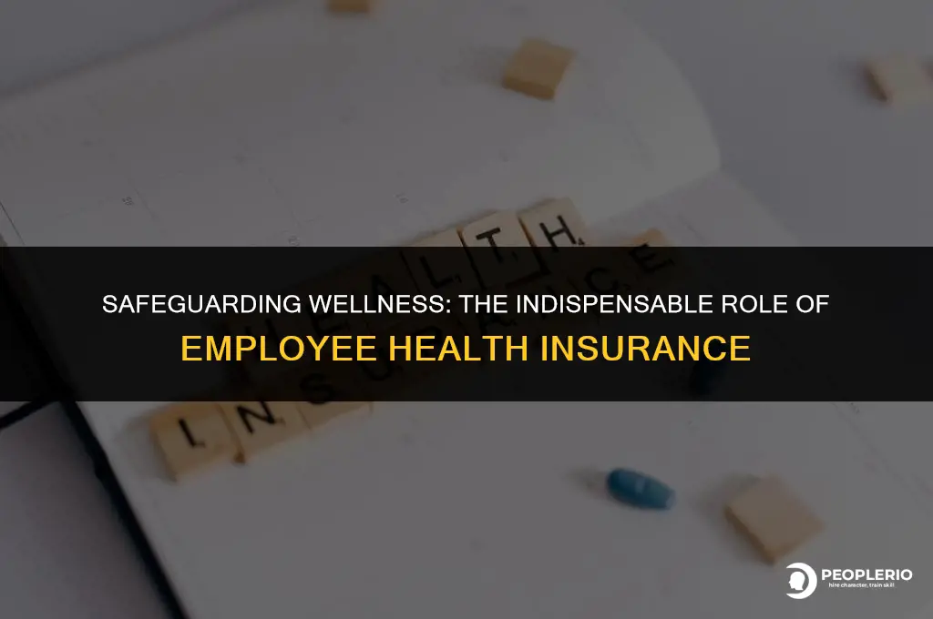 why are employee health insurance policies important