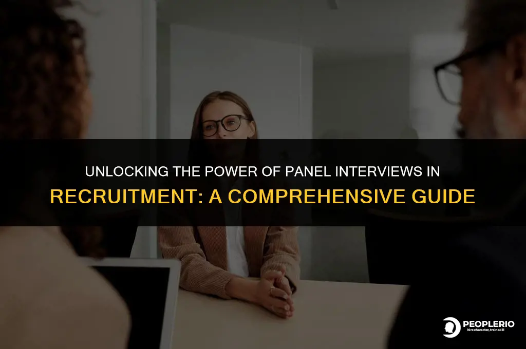 why do panel interviews druing the recruitment process