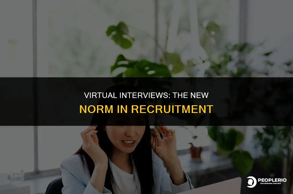 why do recruiters use virtual interviews course hero