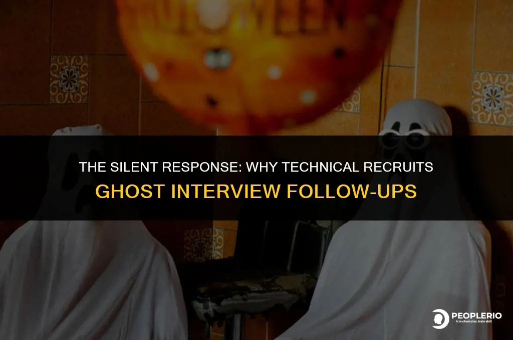 why do technical recruites not reply to interview follow ups