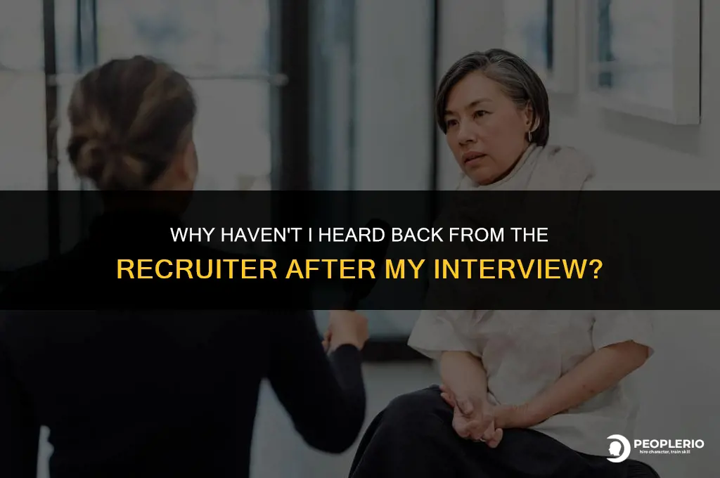 why hasn the recruiter called me back after interview