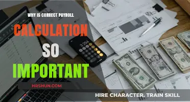 Precision in Payroll: The Cornerstone of Employee Satisfaction and Compliance