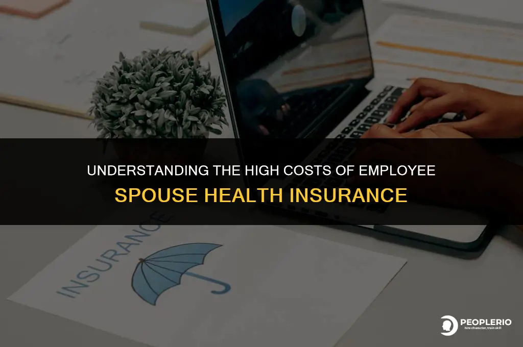 why is employee spouse health insurance so high